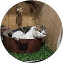 文怡曾 profile picture