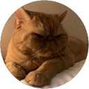 YANGYANG profile picture